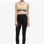 X-Back Fitness Sports Bra